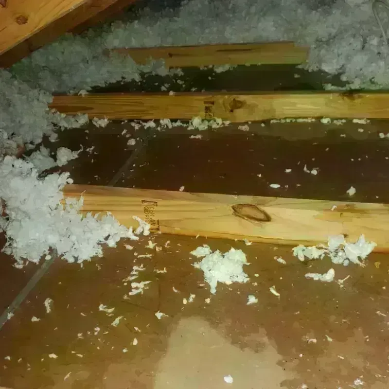 Attic Water Damage in Clinton Township, MI