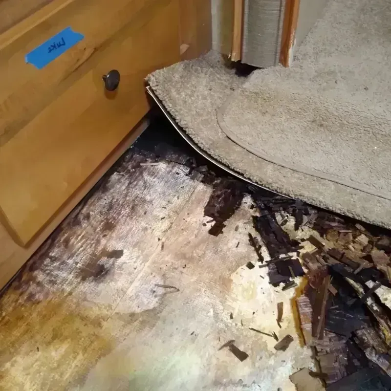 Best Wood Floor Water Damage Service in Clinton Township, MI